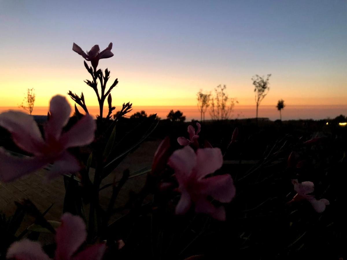 Quinta Do Planalto Vicentino - Casas De Campo ألخيزور المظهر الخارجي الصورة