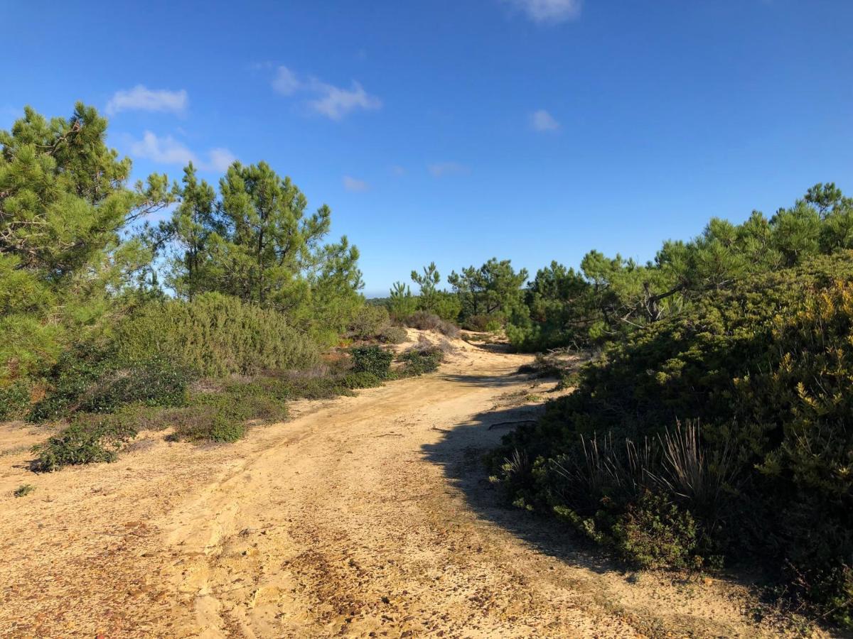 Quinta Do Planalto Vicentino - Casas De Campo ألخيزور المظهر الخارجي الصورة